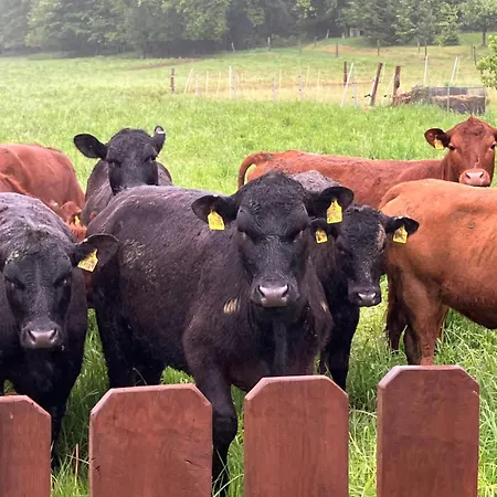 Gaestehaus Goy In 3* Schirgiswalde-Kirschau